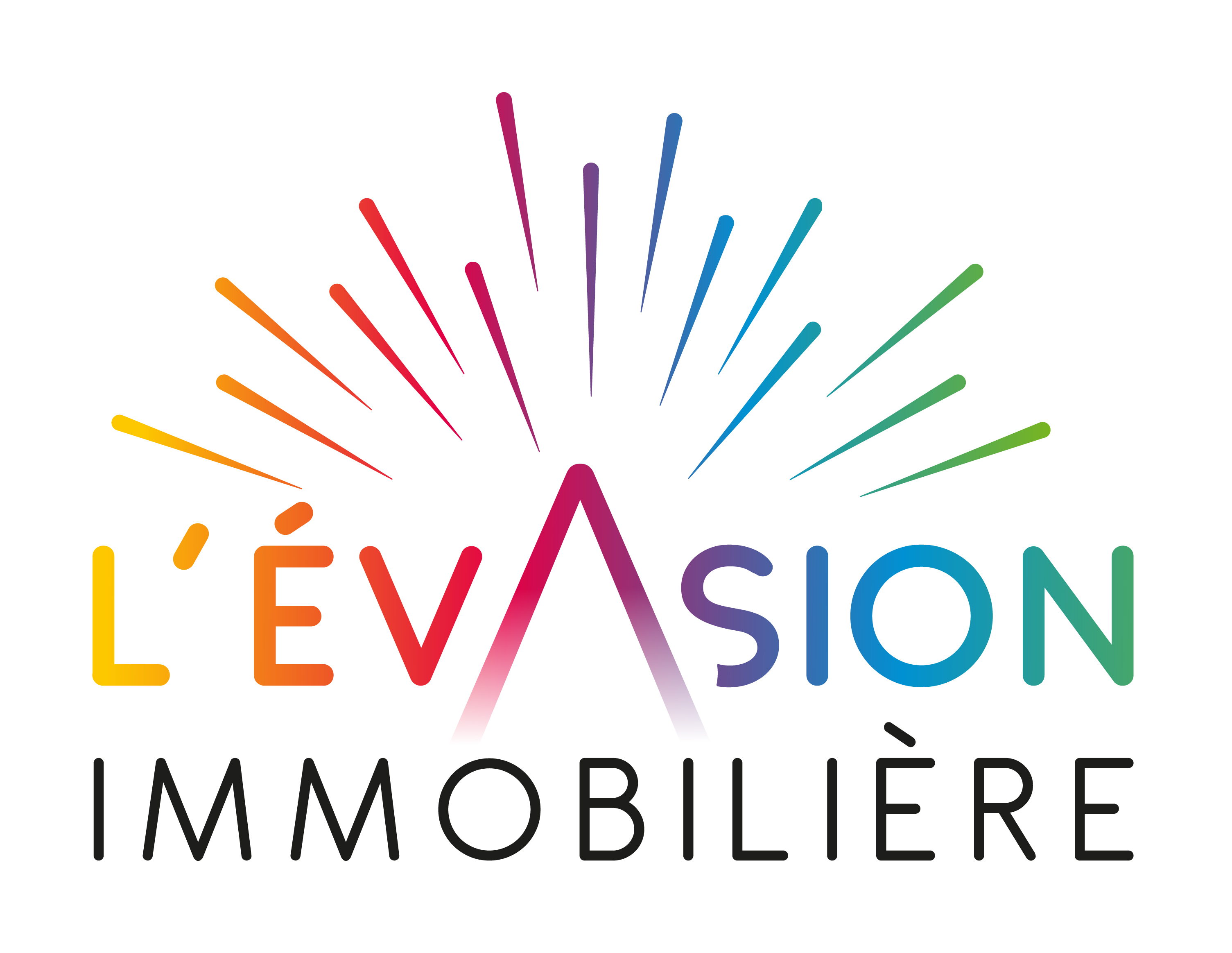 L'évasion Immobilière